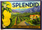 Antique 1930s Splendid Lemons Crate Label 🍋 Klink Citrus Association, Ivanhoe, Tulare County California