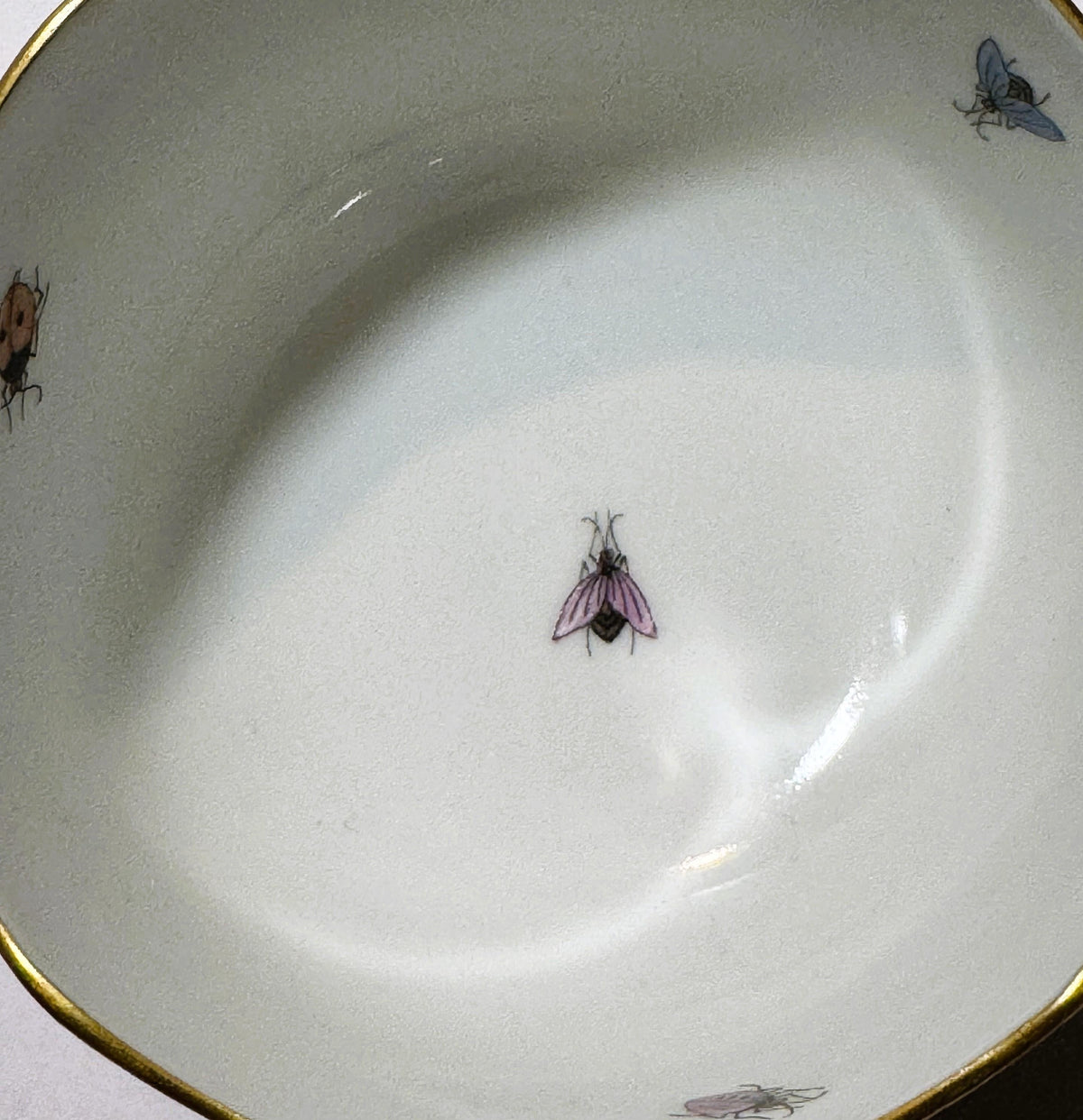 Vintage Herend Rothschild Bird 🐦 Hand Painted Porcelain Teacup, Form 704, Cup Only, Hungary