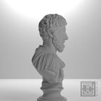 Marcus Aurelius