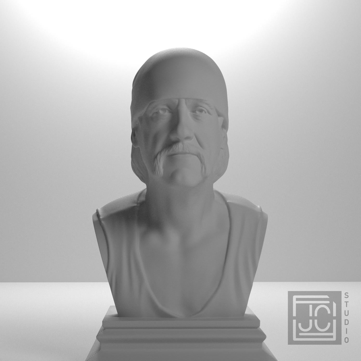 Hulk Hogan