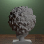 Head of a Roman Youth