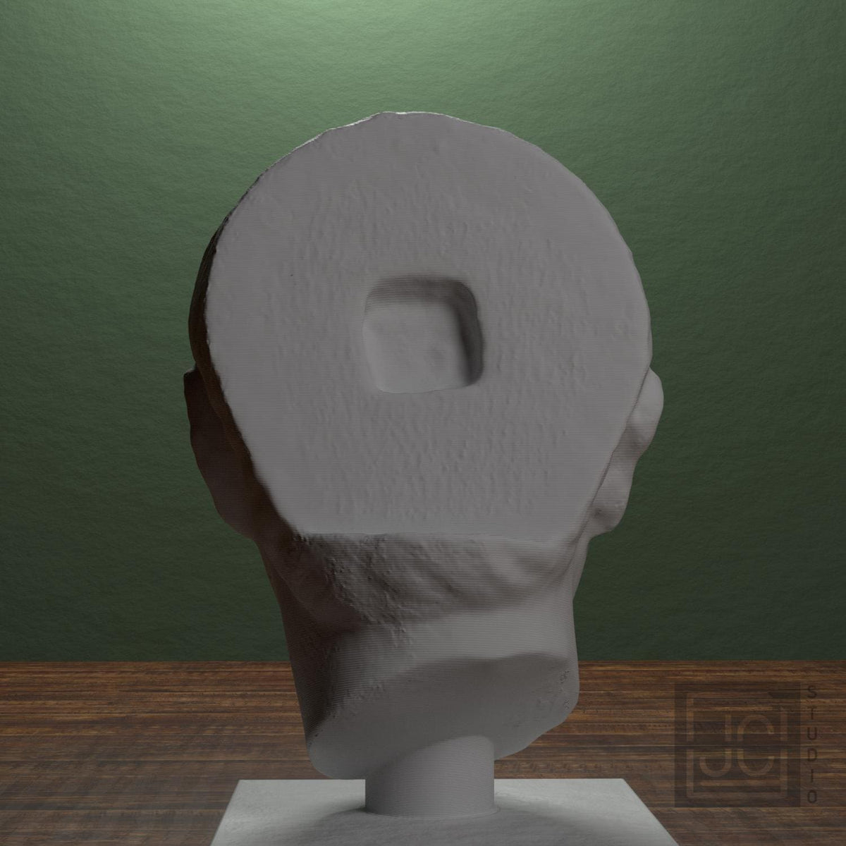 Head of a Young Man