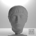 Head of a Young Man