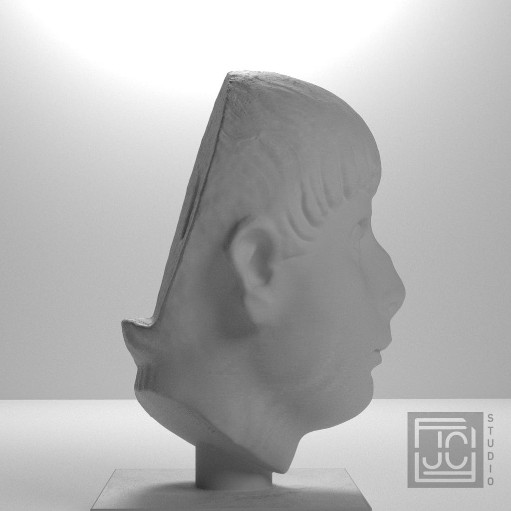 Head of a Young Man