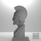 Spartan Warrior