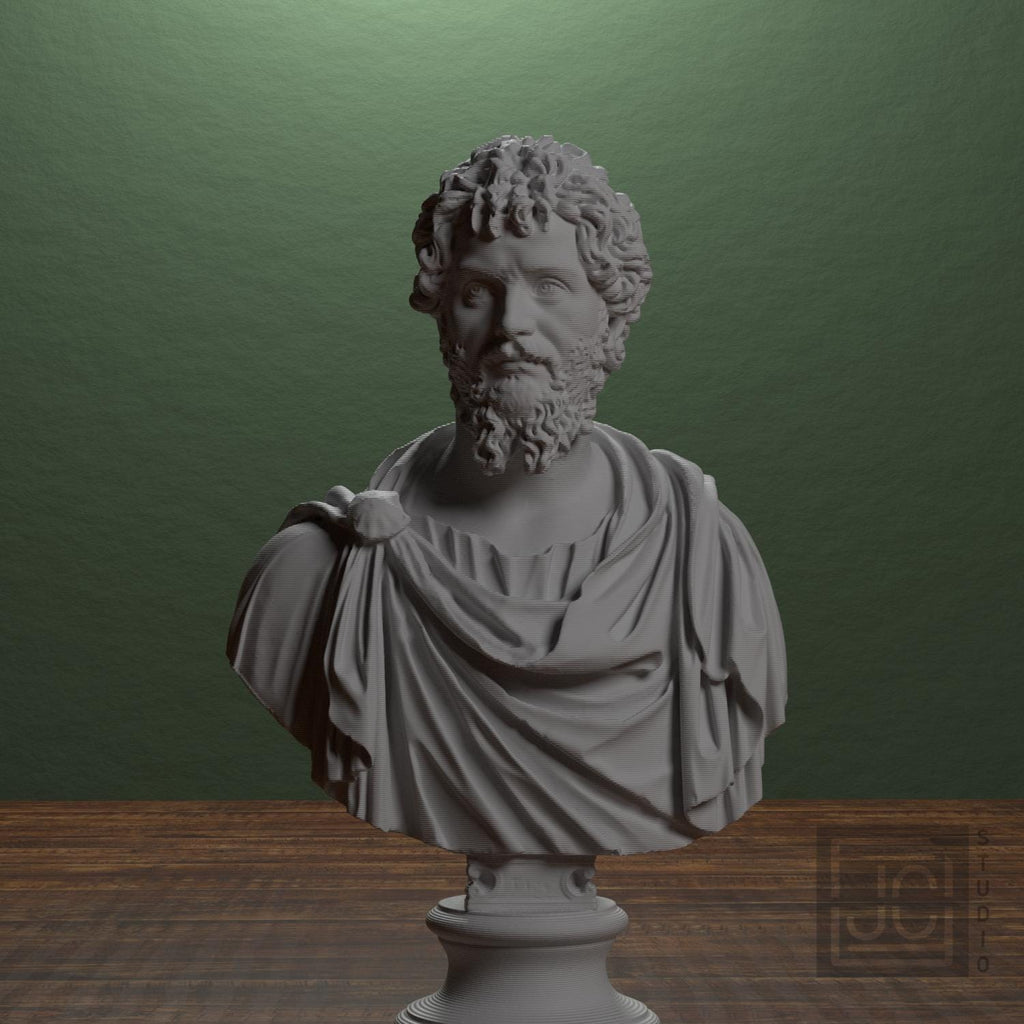 Portrait of Septimius Severus