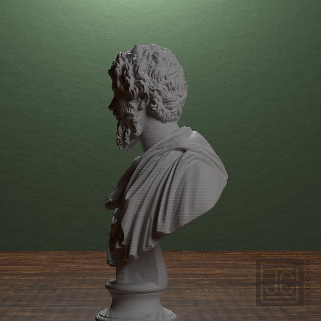 Portrait of Septimius Severus