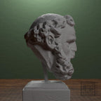 Head of a Bearded Man