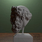 Head of a Bearded Man
