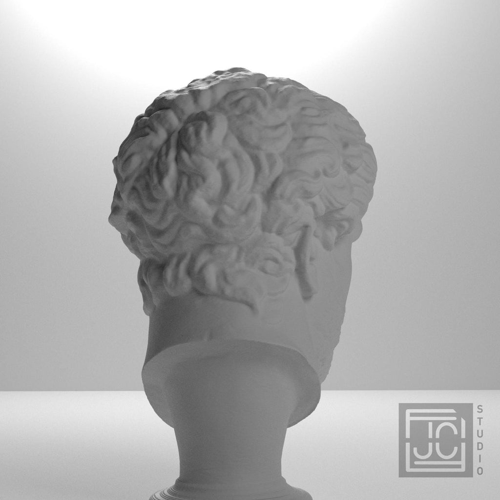 Head