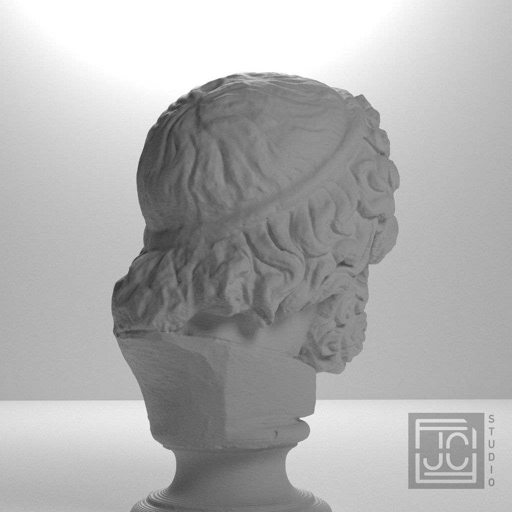 Bearded Deity Zeus