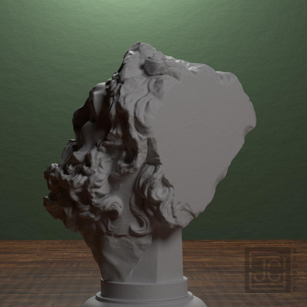 Head of a Giant