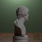Portrait bust of a Barbarian