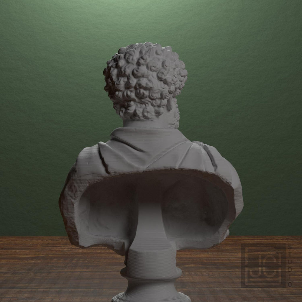 Draped bust of a man formerly known as Clodius Albinus