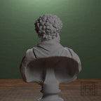 Draped bust of a man formerly known as Clodius Albinus