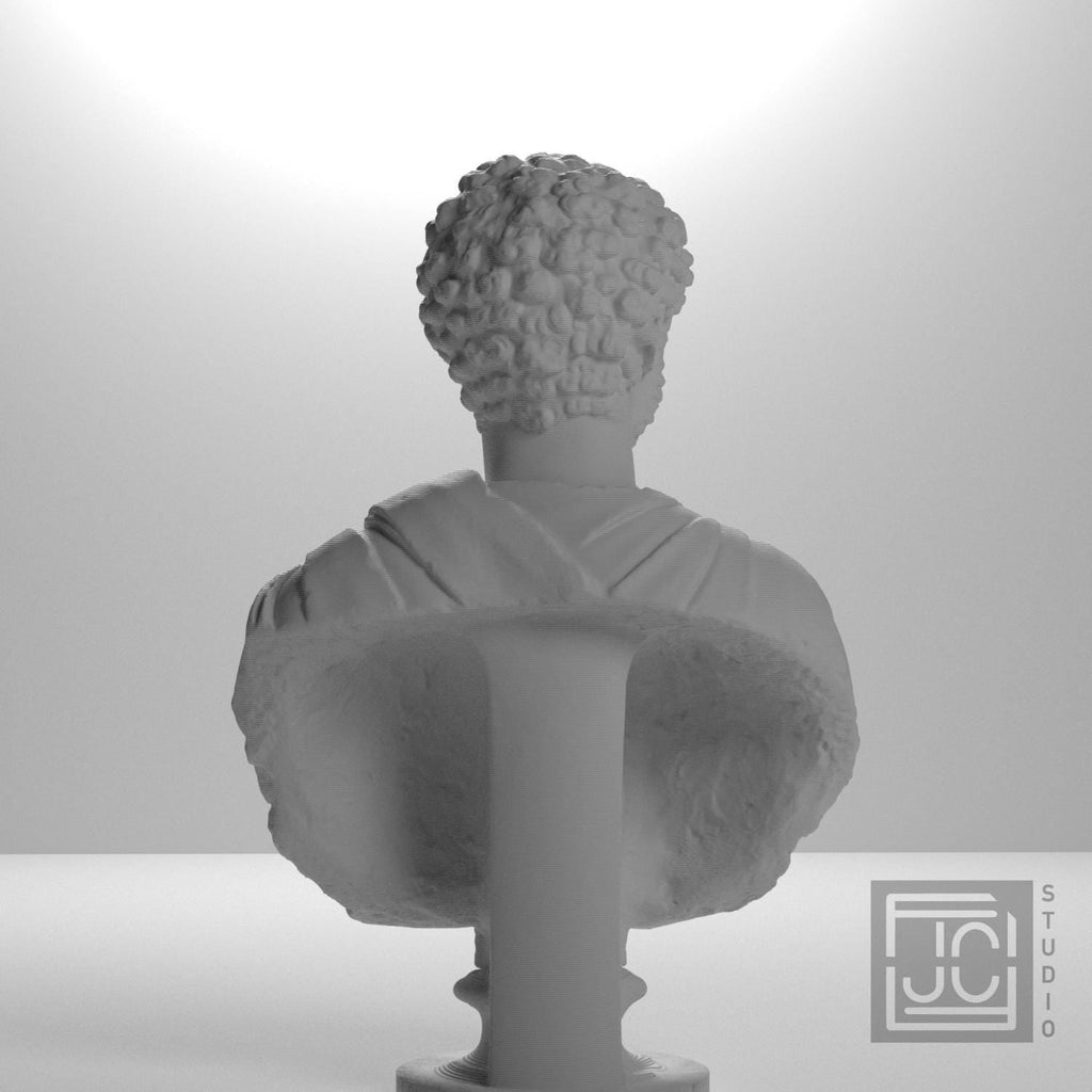 Portrait of a Man (Septimius Severus?)