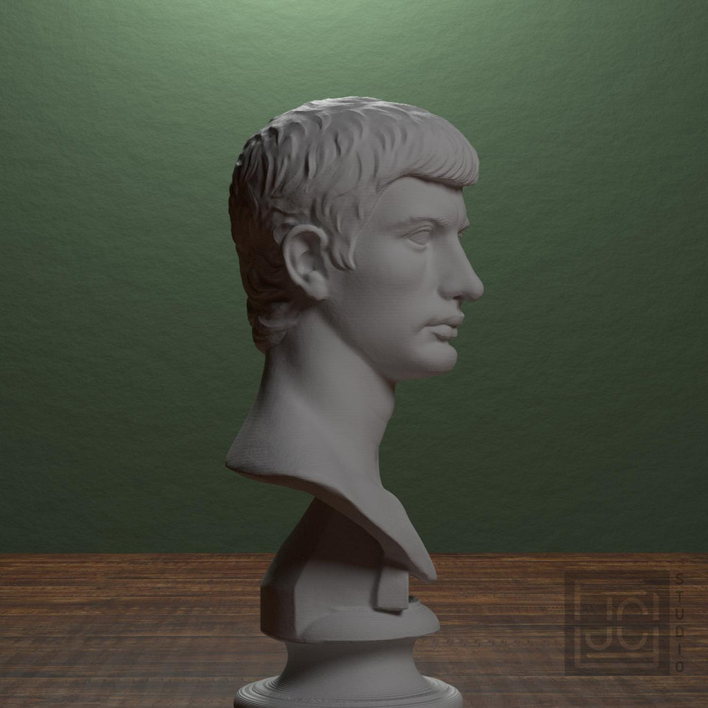 Portrait of an Augustine Prince Marcellus (?)