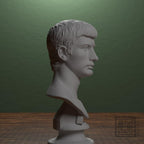 Portrait of an Augustine Prince Marcellus (?)