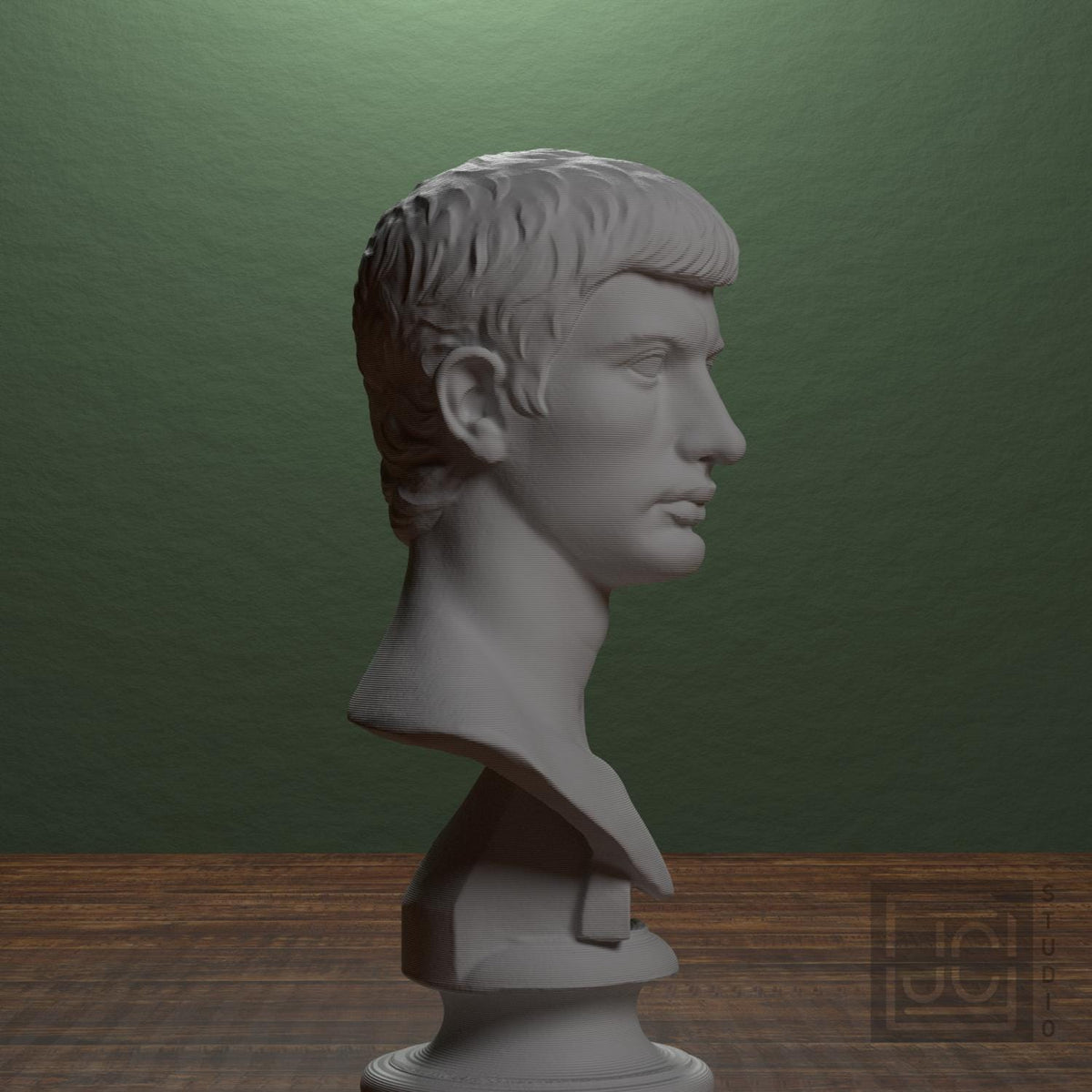 Portrait of an Augustine Prince Marcellus (?)