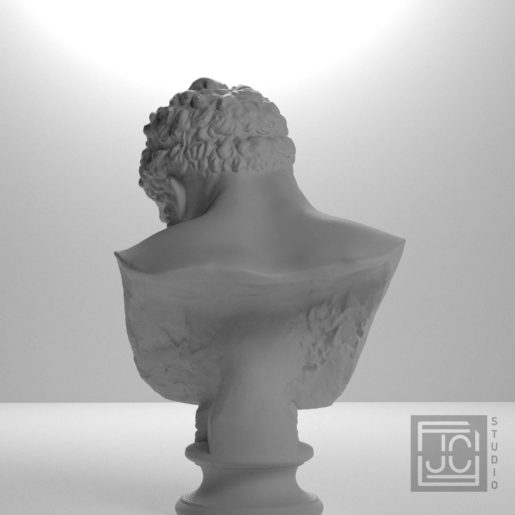 Bust of the Farnese Hercules
