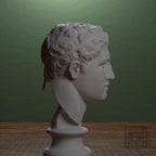 Fragmentary head of Hercules (from the Lansdowne Herakles)