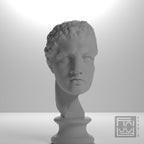 Fragmentary head of Hercules (from the Lansdowne Herakles)