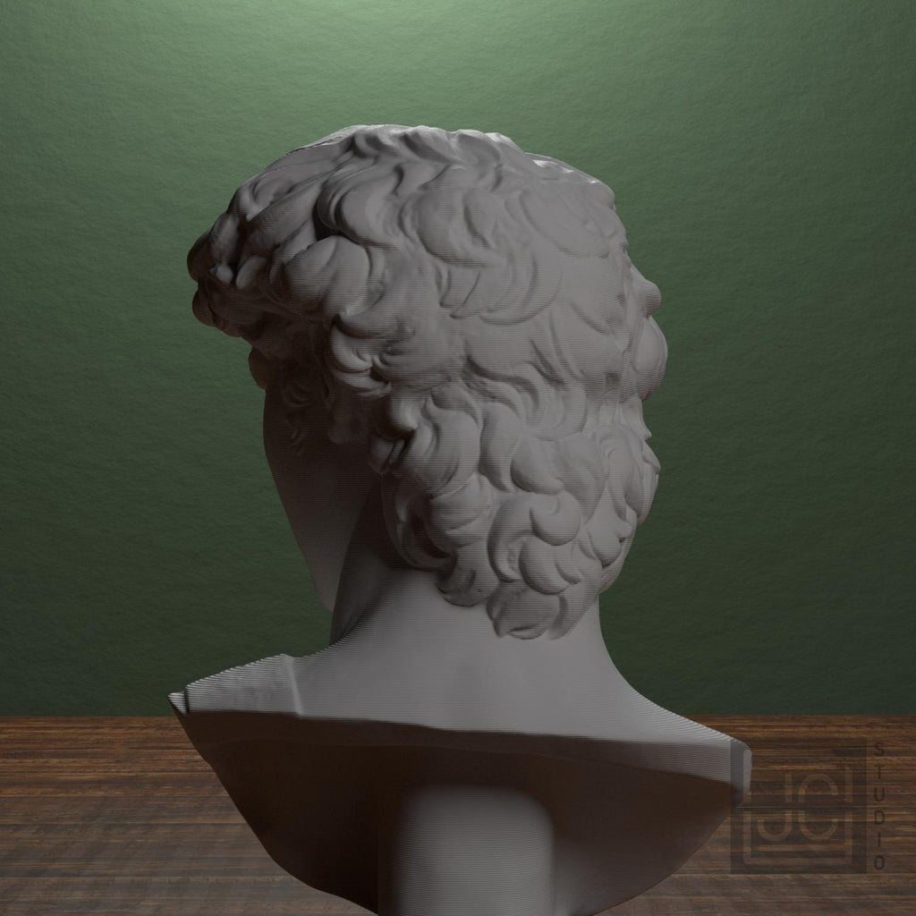 Head of Michelangelo's David
