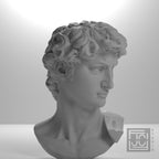 Head of Michelangelo's David