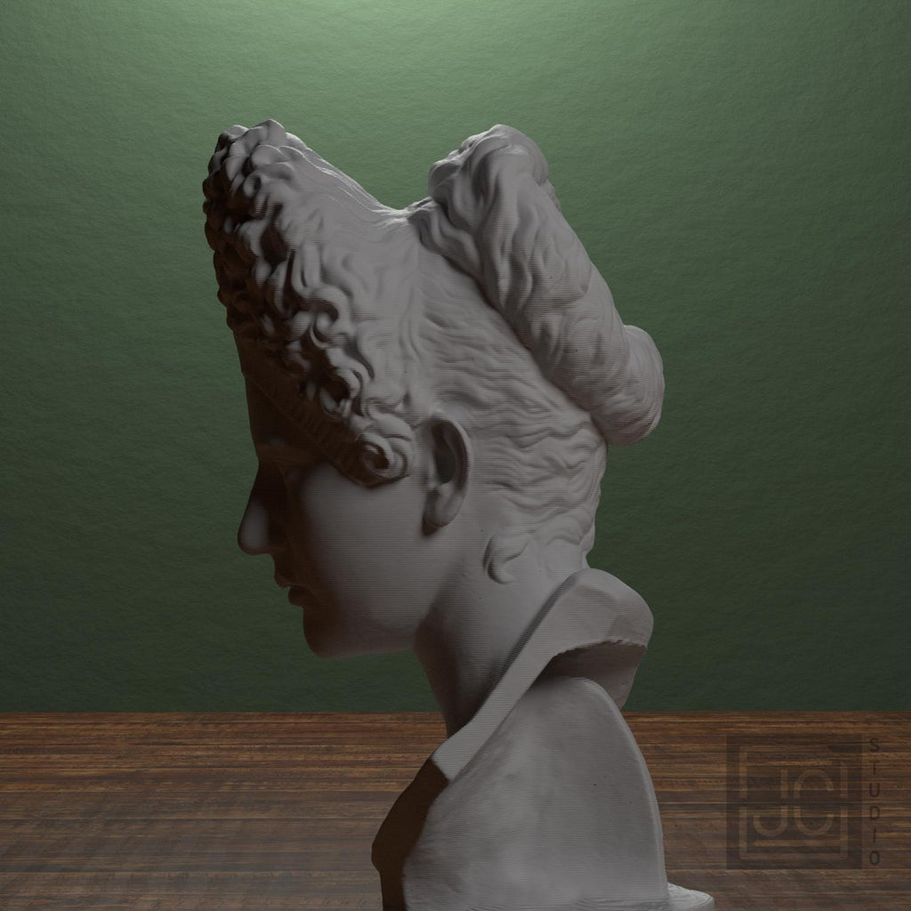 Bust of Iulia Titi