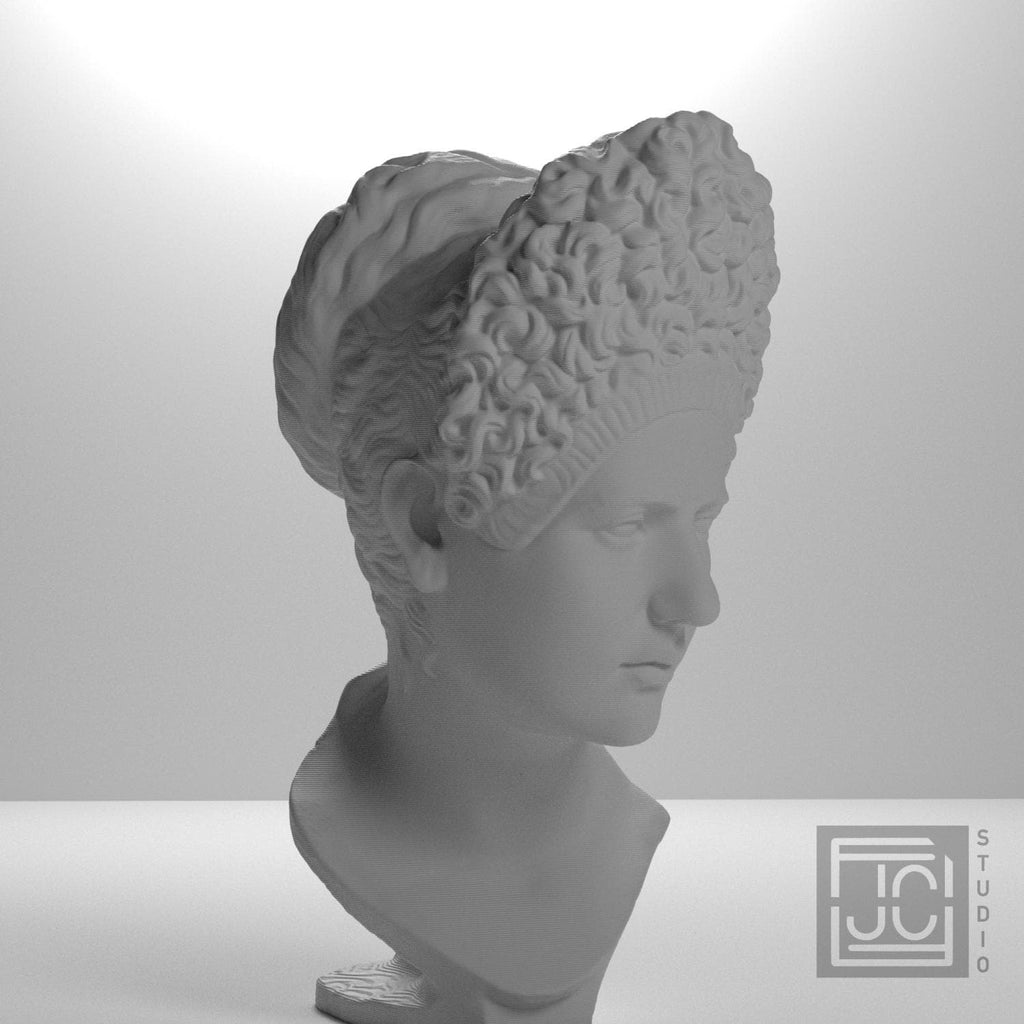 Bust of Iulia Titi