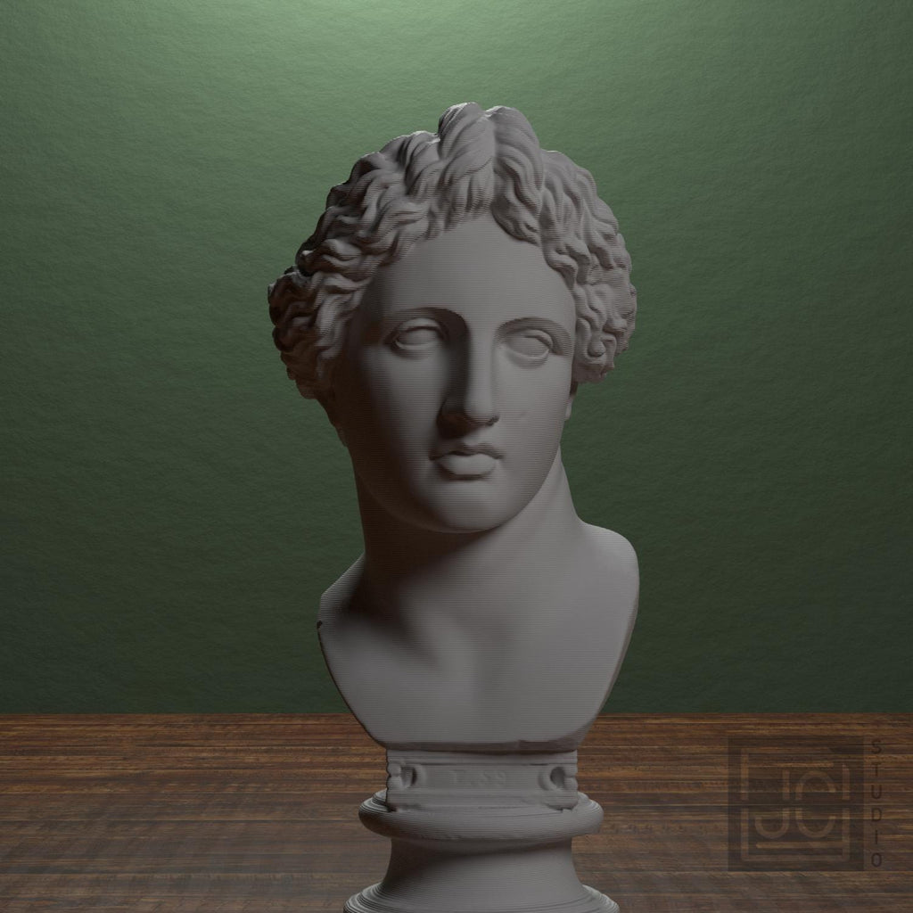 Bust of the Apollo Lykeios