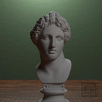Bust of the Apollo Lykeios