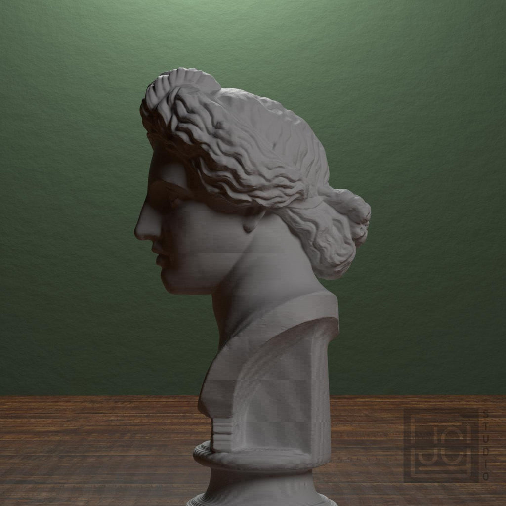 Bust of the Apollo Lykeios