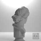 Bust of the Apollo Lykeios