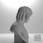 Portrait of Antinous