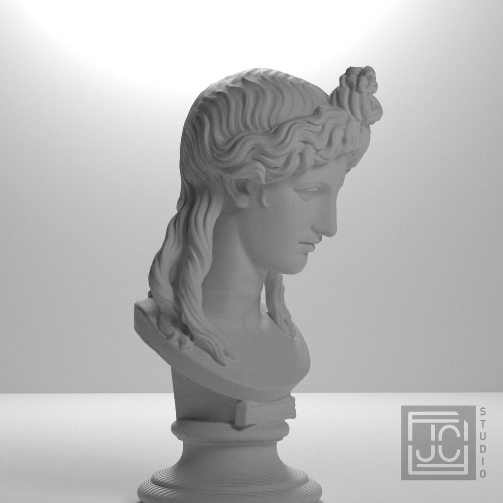 Head of a Woman or Apollo