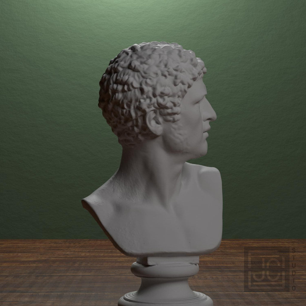 Head of a Man