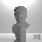 Bust of The Diadumenos type