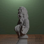 Louis XIV