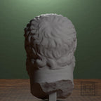 Head of Emperor Maximian