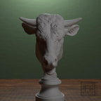 Head of a Bull