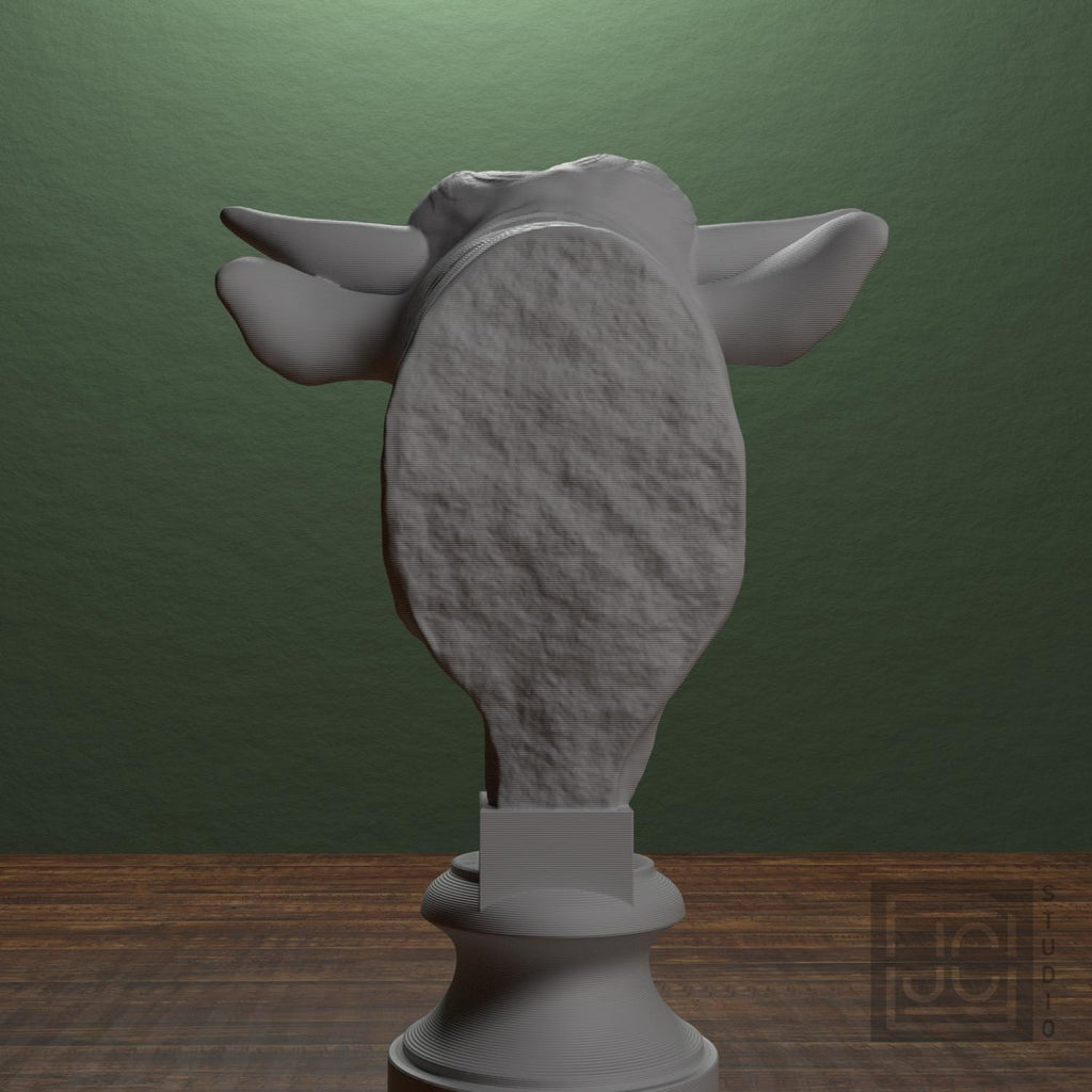 Head of a Bull