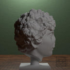 Head of a Roman Youth