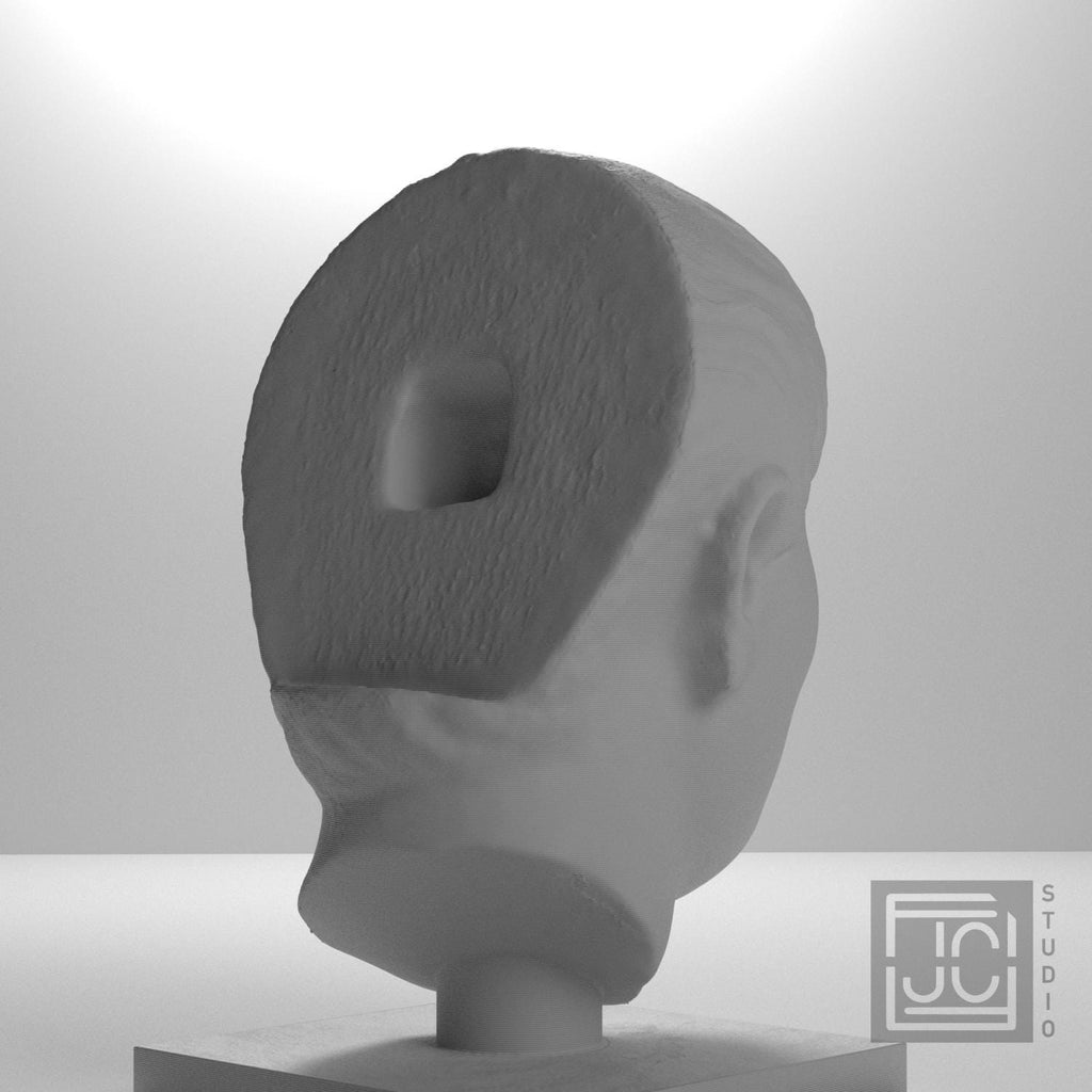 Head of a Young Man