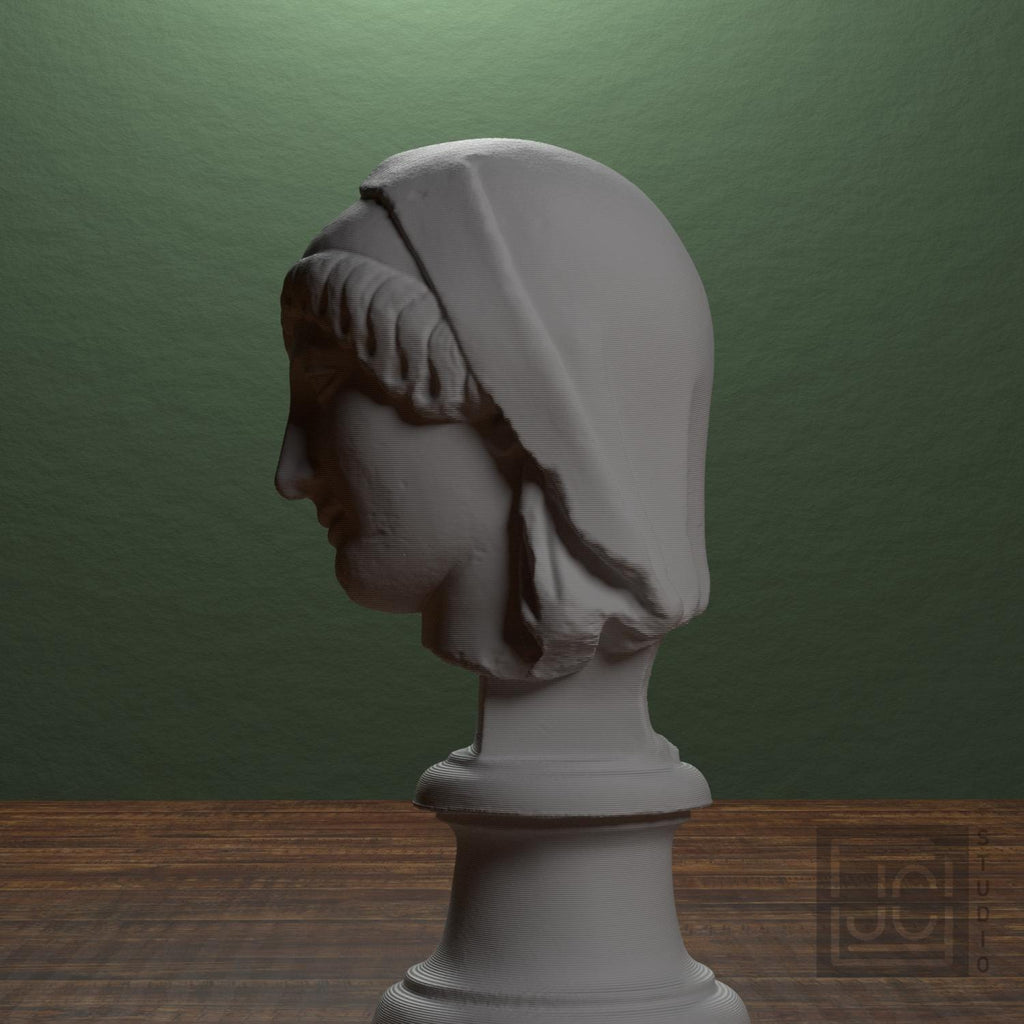 Head of the Mourning Penelope