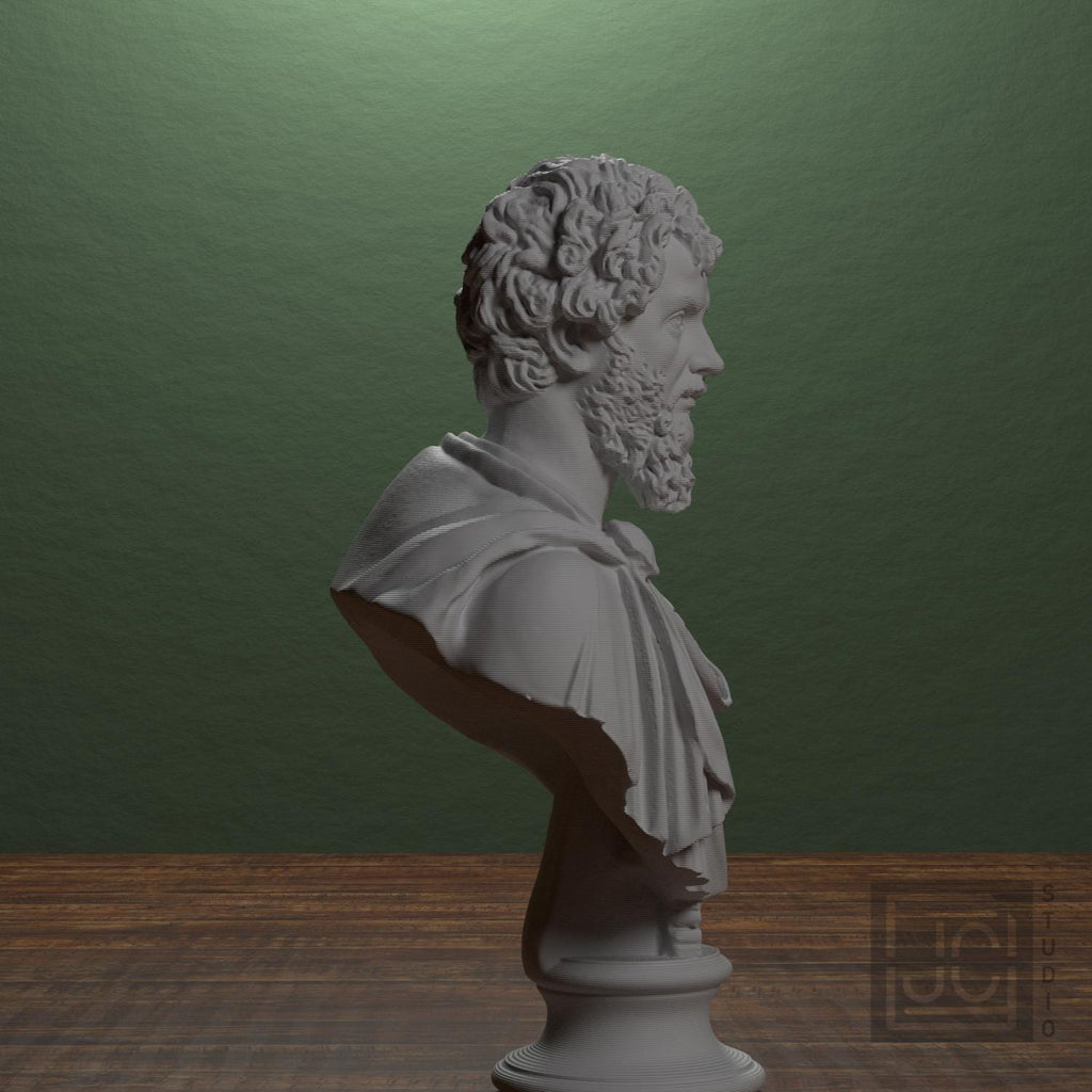 Portrait of Septimius Severus