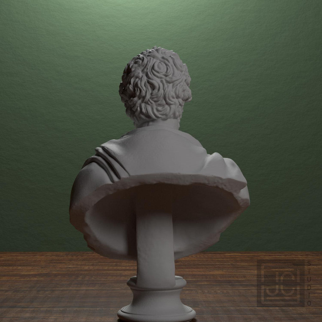 Portrait of Septimius Severus