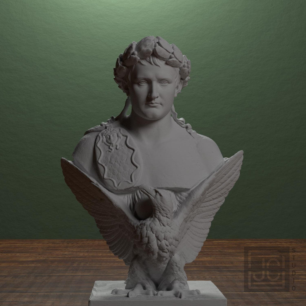 Napoleon Bonaparte