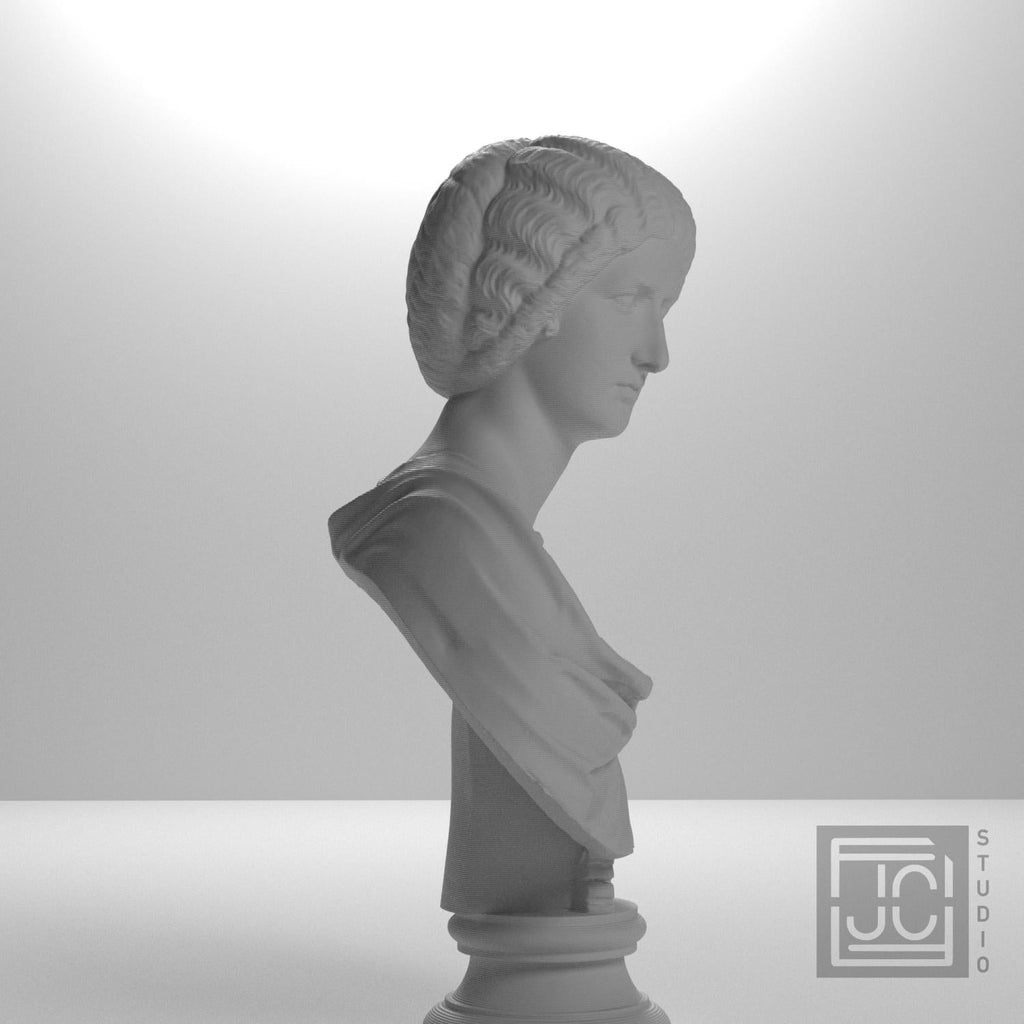 Portrait of a noble lady