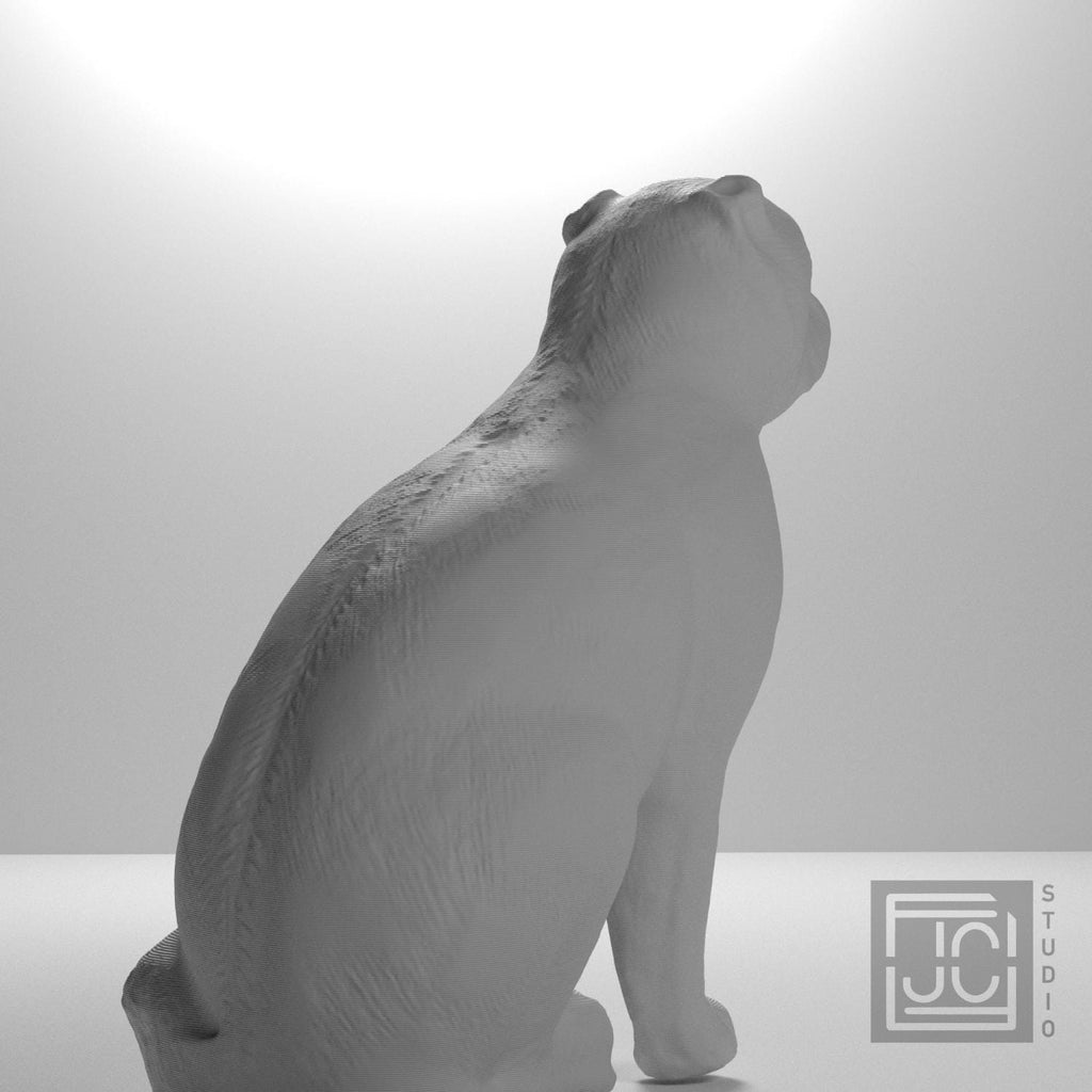 Chinese Porcelain Pug Dog A (One of a Pair)